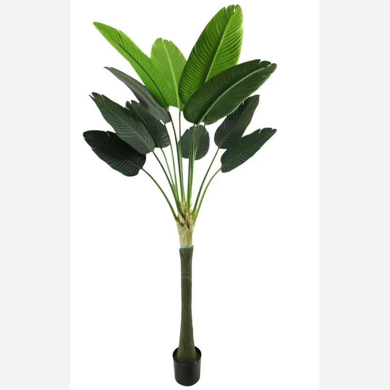 fz4dbrdIIZu5a2xcvKPW2EgiE0qoY9xWqcjhj7RlRF3XHE600r.jpg_800X800X70